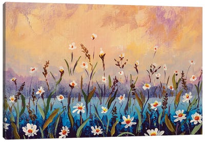 Floral Field Of White Daisies On A Blue Pink Wild Flowers Background Canvas Art Print - Valery Rybakow