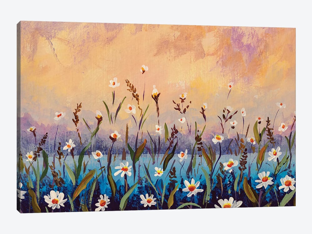 Floral Field Of White Daisies On A Blue Pink Wild Flowers Background by Valery Rybakow 1-piece Canvas Wall Art
