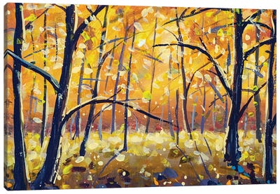 Sunny Autumn Gold Forest Trees In Orange Wood Canvas Art Print - Valery Rybakow