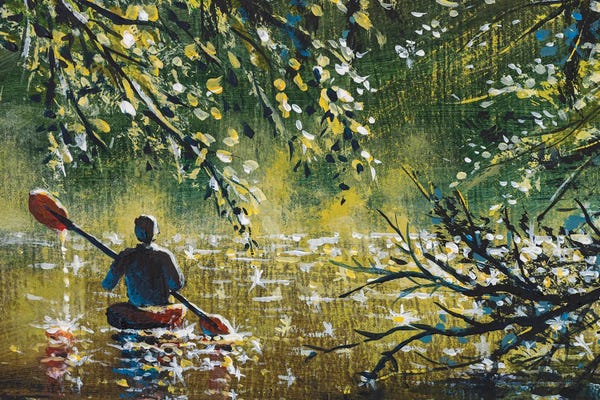 Man Canoeing On Sunny Brown River Among Trees