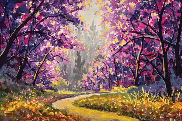 Road Way Through Blooming Sakura Park Forest Avenue