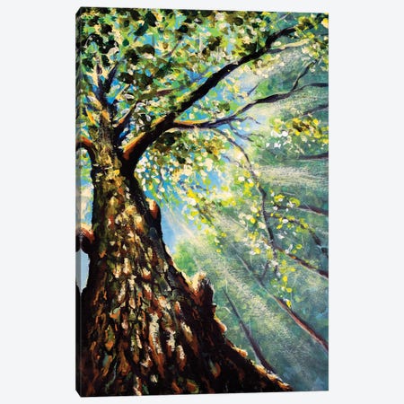 Beautiful Tree Branches And Trunk Against Sky Canvas Print #VRY1191} by Valery Rybakow Canvas Art Print