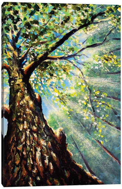 Beautiful Tree Branches And Trunk Against Sky Canvas Art Print - Valery Rybakow