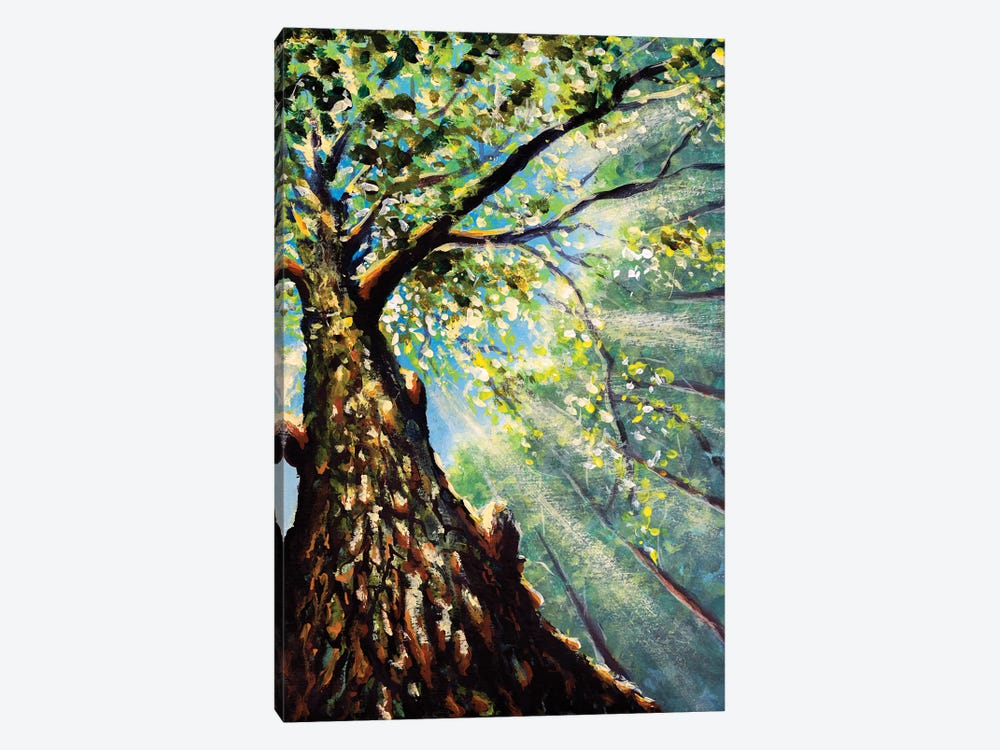 Beautiful Tree Branches And Trunk Against Sky by Valery Rybakow 1-piece Canvas Print
