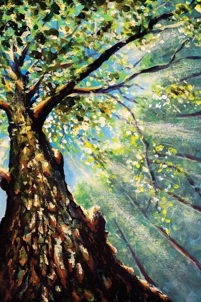 Beautiful Tree Branches And Trunk Against Sky