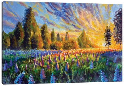 Flower Landscape Illustration Purple Lupines Wildflowers Canvas Art Print - Valery Rybakow