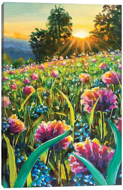 Sunset Over Flower Field Canvas Art Print - Valery Rybakow