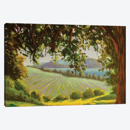 Distant Meadows And Mountains Against Background Of Large Oak Tree Canvas Print #VRY1197} by Valery Rybakow Canvas Artwork
