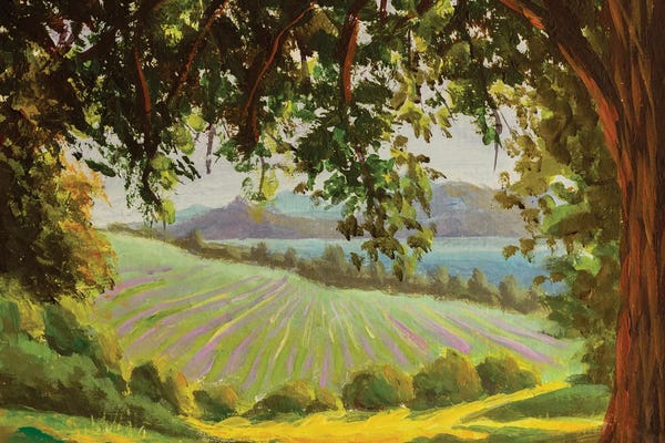 Distant Meadows And Mountains Against Background Of Large Oak Tree