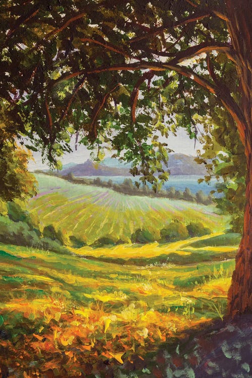 Paining Sunny Distant Meadows And Large Oak Tree