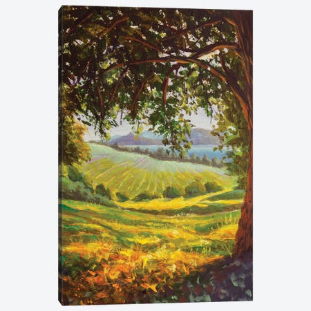 Paining Sunny Distant Meadows And Large Oak Tree Canvas Print #VRY1198} by Valery Rybakow Canvas Art Print