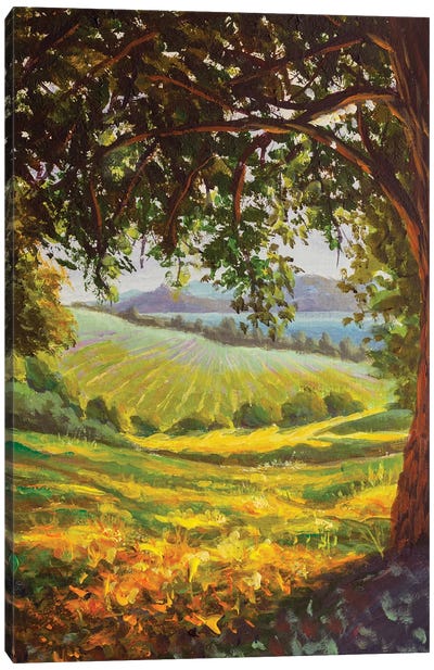 Paining Sunny Distant Meadows And Large Oak Tree Canvas Art Print - Valery Rybakow