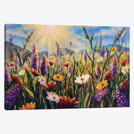 Beautiful Field Flowers White Yellow Daisies, Purple Lupine Flowers And Tall Mountain Grasses In The Sunshine Canvas Print #VRY1202} by Valery Rybakow Canvas Print