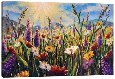 Beautiful Field Flowers White Yellow Daisies, Purple Lupine Flowers And Tall Mountain Grasses In The Sunshine Canvas Art Print - Valery Rybakow