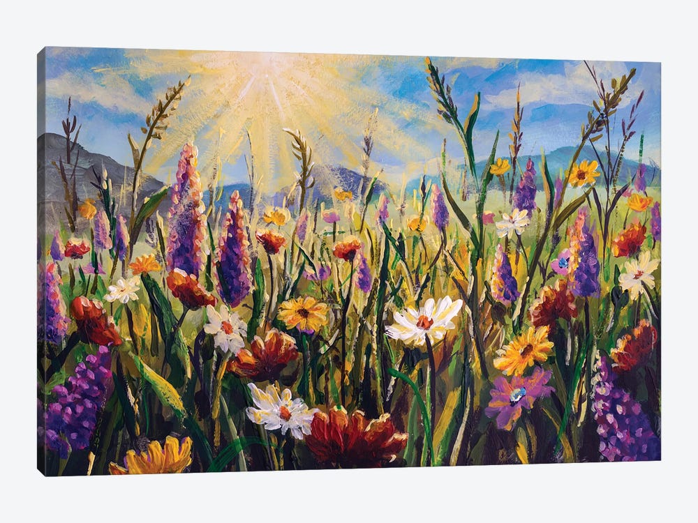 Beautiful Field Flowers White Yellow Daisies, Purple Lupine Flowers And Tall Mountain Grasses In The Sunshine by Valery Rybakow 1-piece Canvas Art Print