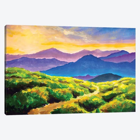 Painting Road Road In The Mountains Among Beautiful Fields Of Wildflowers Canvas Print #VRY1207} by Valery Rybakow Canvas Art