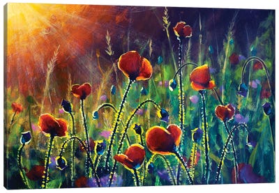 Red Poppies In The Rays Flowers Painting Canvas Art Print - Valery Rybakow