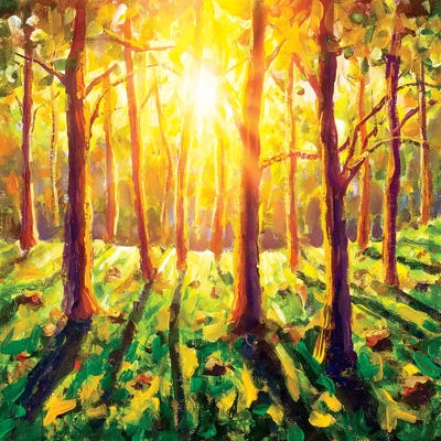 Sun In Forest by Valery Rybakow framed wall art