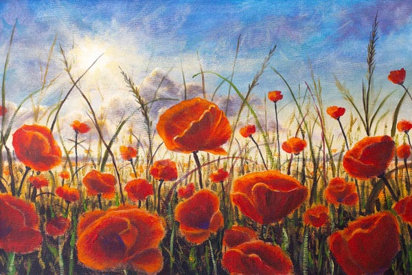 Fields, Grasslands & Meadows: Red Poppies Big Flowers Close Up by Valery Rybakow