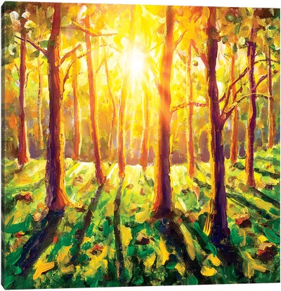 Sun In Forest Canvas Art Print - Valery Rybakow