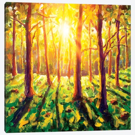 Sun In Forest Canvas Print #VRY128} by Valery Rybakow Art Print