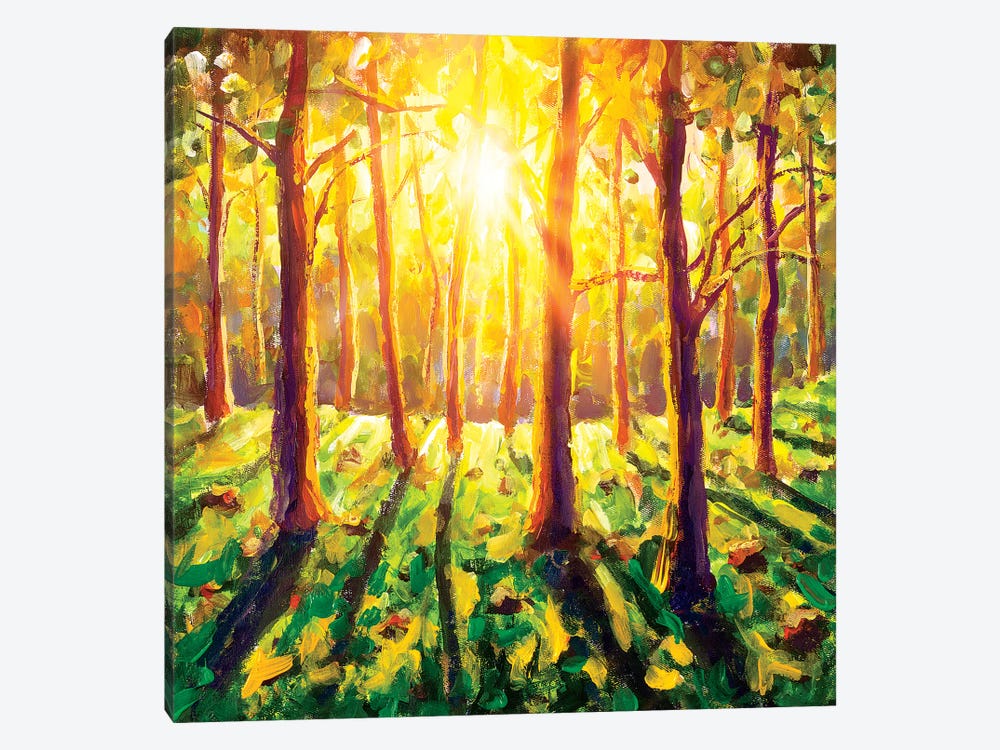 Sun In Forest by Valery Rybakow 1-piece Canvas Art Print