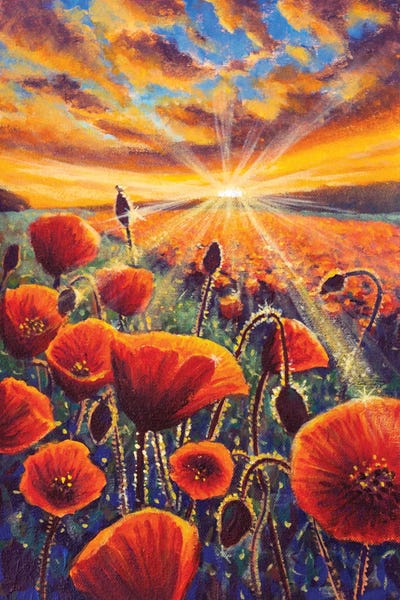 Valery Rybakow: Tuscan Poppy Field At Sunrise Flat Color Hand Painted Illustration Painting. by Valery Rybakow