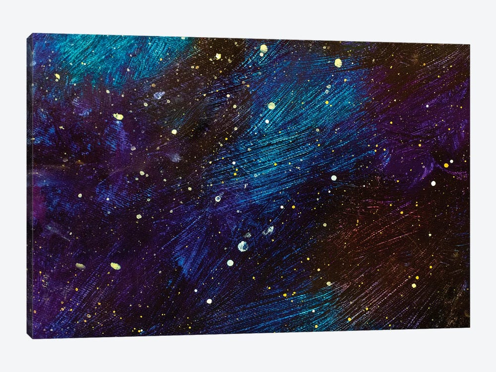 Beautiful Cosmos by Valery Rybakow 1-piece Canvas Wall Art