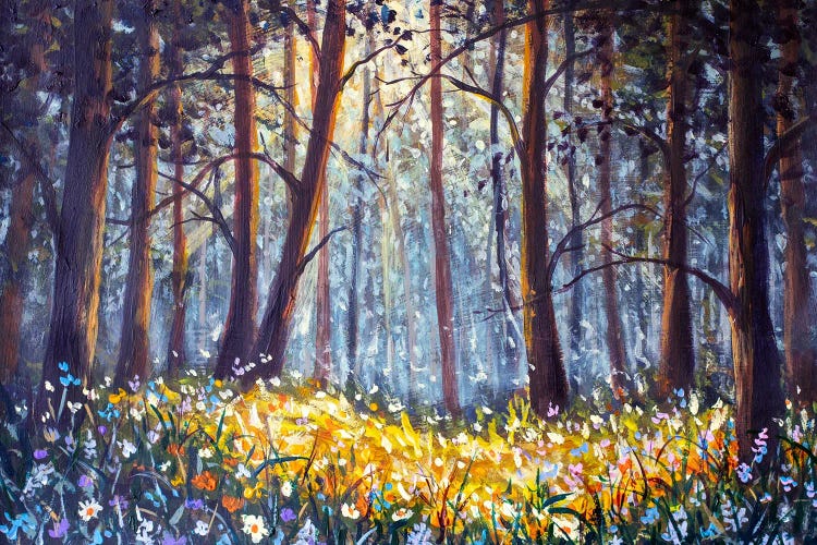 Wildflowers Blooming In The Sunlight Filtering Through A Forest by Valery Rybakow canvas print