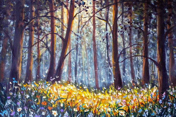 Wildflowers Blooming In The Sunlight Filtering Through A Forest