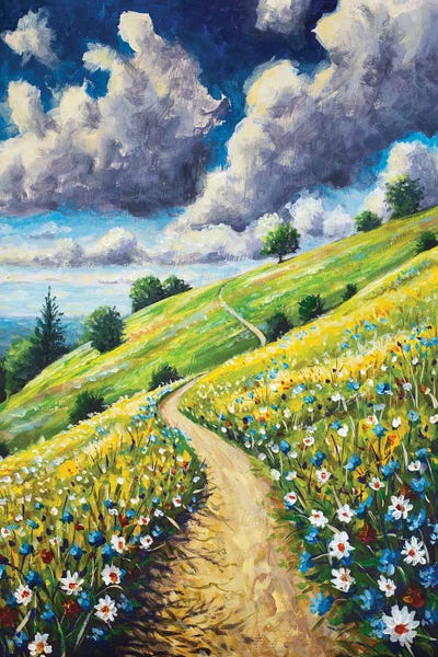 Winding Path Ascending A Verdant Hill Covered With Vibrant Wildflowers Under A Dramatic Clouded Sky