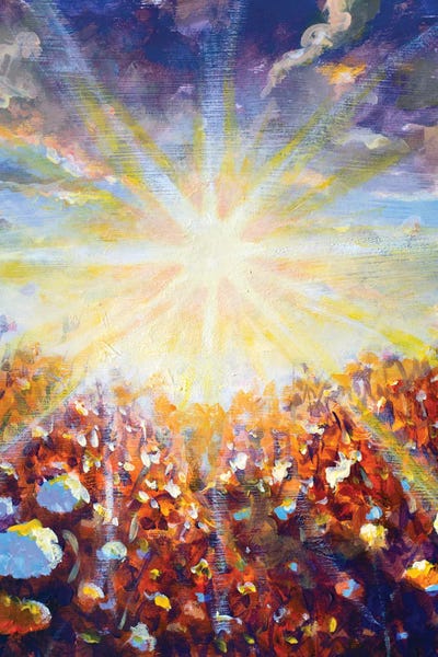 Valery Rybakow: Wildflowers Blooming Under Bright Sun Rays by Valery Rybakow