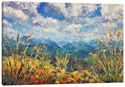 Beautiful Mountain View Canvas Art Print - Artists Like Van Gogh