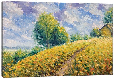 Country Landscape With A Beautiful Sky Canvas Art Print - Valery Rybakow