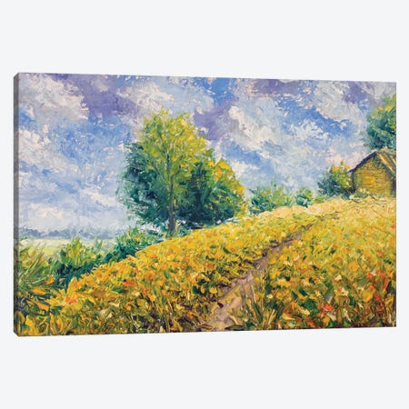 Country Landscape With A Beautiful Sky Canvas Print #VRY145} by Valery Rybakow Canvas Wall Art