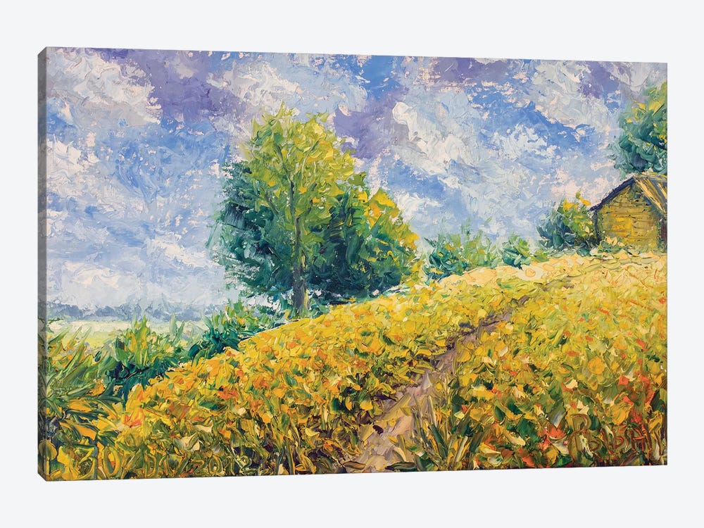 Country Landscape With A Beautiful Sky by Valery Rybakow 1-piece Canvas Wall Art