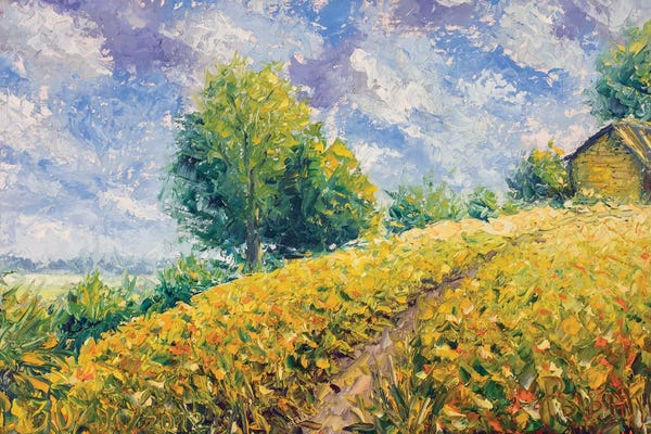 Country Landscape With A Beautiful Sky