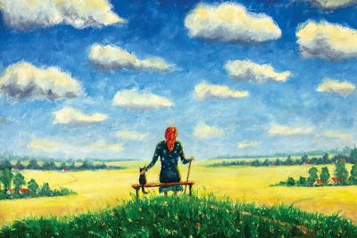 Beautiful Old Woman Sits With Cat On Bench by Valery Rybakow framed wall art