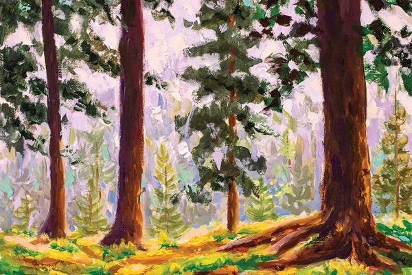 Big Trees In Summer Sunny Forest