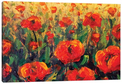 Glade Of Red Poppies Flowers In Green Grass Canvas Art Print - Valery Rybakow