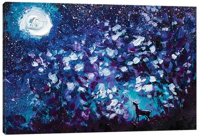 Black Wolf In Night Forest Canvas Art Print - Valery Rybakow