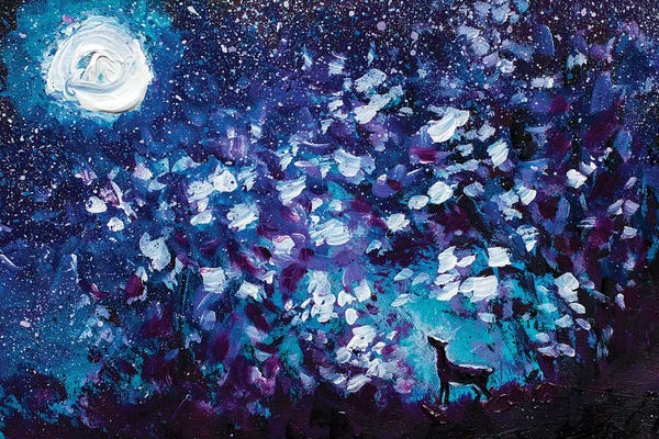 Sky: Black Wolf In Night Forest by Valery Rybakow