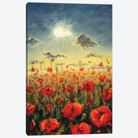 Field Of Red Poppies Canvas Print #VRY172} by Valery Rybakow Canvas Wall Art