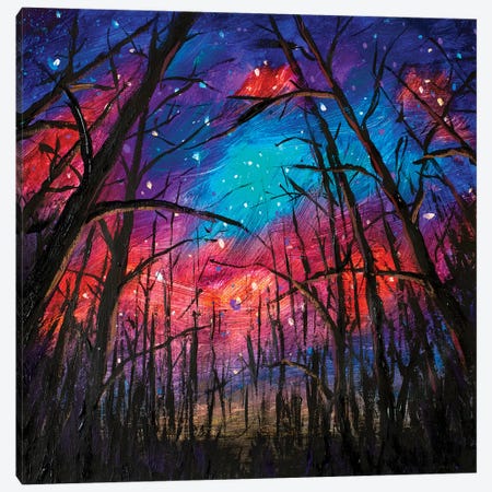 Beautiful Starry Sky Through Trees In Forest Canvas Print #VRY175} by Valery Rybakow Canvas Art Print