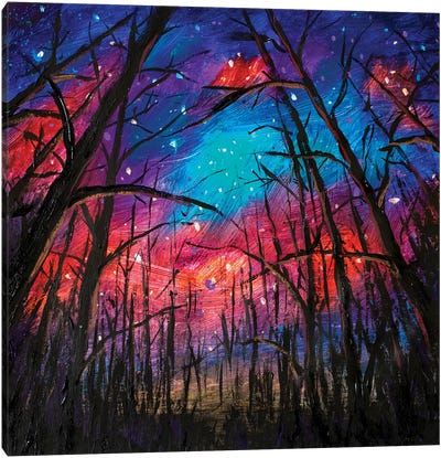 Beautiful Starry Sky Through Trees In Forest Canvas Art Print - Valery Rybakow