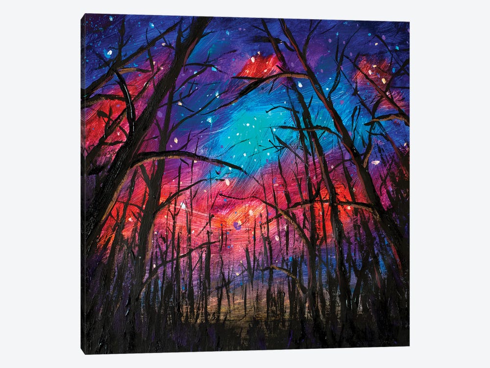Beautiful Starry Sky Through Trees In Forest by Valery Rybakow 1-piece Canvas Print