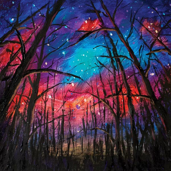 Valery Rybakow: Beautiful Starry Sky Through Trees In Forest by Valery Rybakow