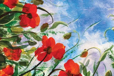 Beautiful Red Poppies Flowers by Valery Rybakow canvas print