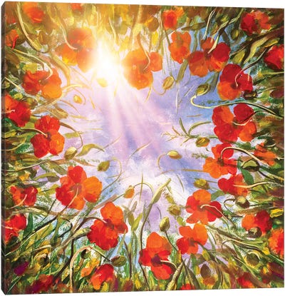 Field Of Red Poppies In Sun Canvas Art Print - Valery Rybakow