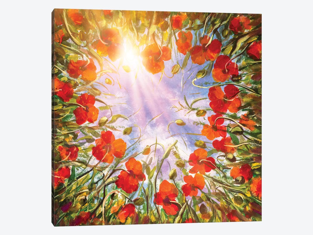 Field Of Red Poppies In Sun by Valery Rybakow 1-piece Canvas Print